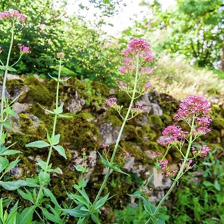 Moncalou * Florimont-Gaumiers